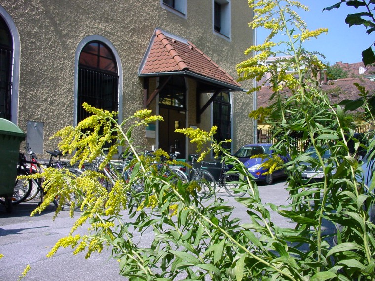 Pflanzen vor dem Gebäude