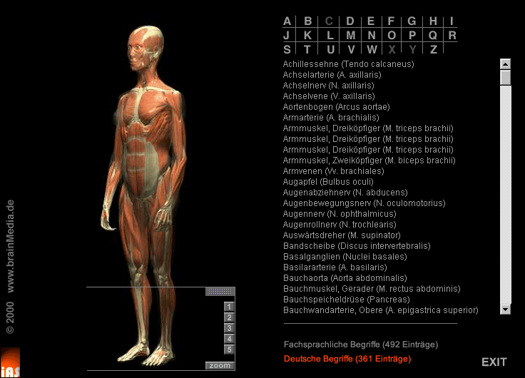 Interaktive Anwendungen: Anatomie